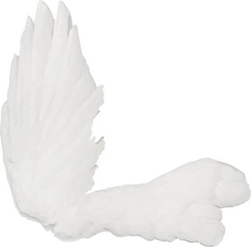 Raven's wing illustration